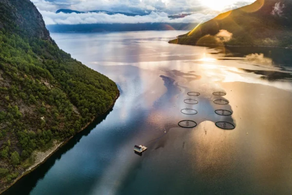 Oppdrettsanlegg i en fjord i Norge.